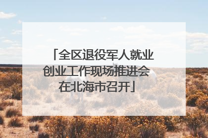 全区退役军人就业创业工作现场推进会在北海市召开