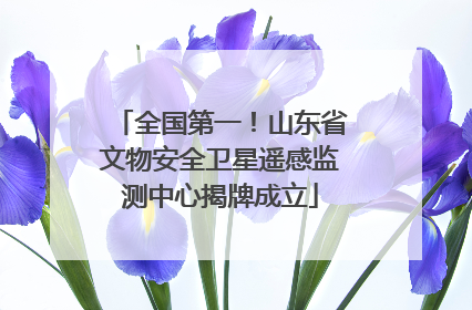 全国第一！山东省文物安全卫星遥感监测中心揭牌成立