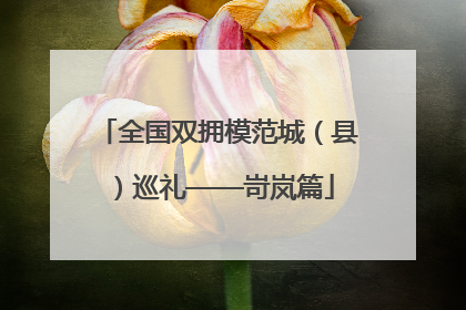 全国双拥模范城（县）巡礼——岢岚篇
