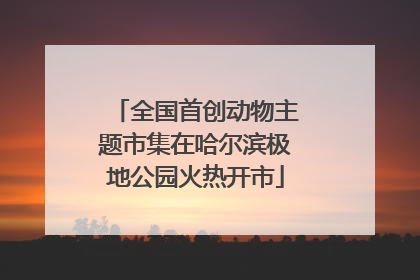 全国首创动物主题市集在哈尔滨极地公园火热开市
