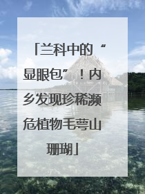 兰科中的“显眼包”！内乡发现珍稀濒危植物毛萼山珊瑚