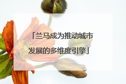 兰马成为推动城市发展的多维度引擎