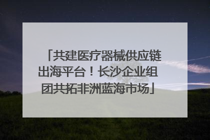 共建医疗器械供应链出海平台！长沙企业组团共拓非洲蓝海市场