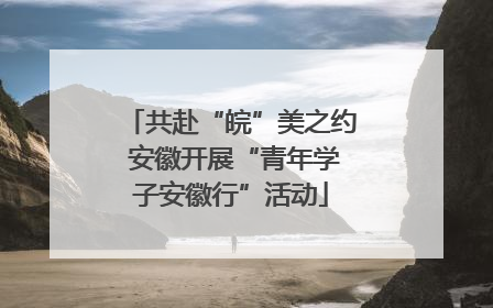 共赴“皖”美之约 安徽开展“青年学子安徽行”活动