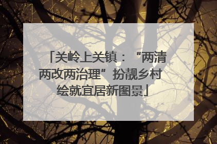 关岭上关镇：“两清两改两治理”扮靓乡村 绘就宜居新图景