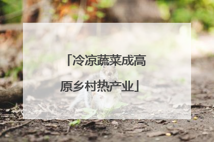 冷凉蔬菜成高原乡村热产业