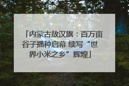 内蒙古敖汉旗：百万亩谷子播种启幕 续写“世界小米之乡”辉煌
