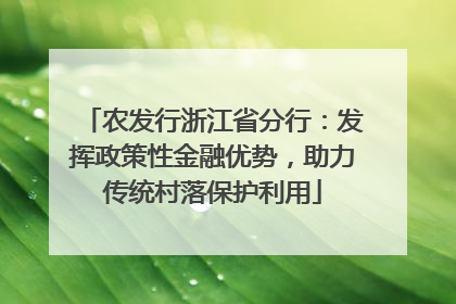 农发行浙江省分行：发挥政策性金融优势，助力传统村落保护利用