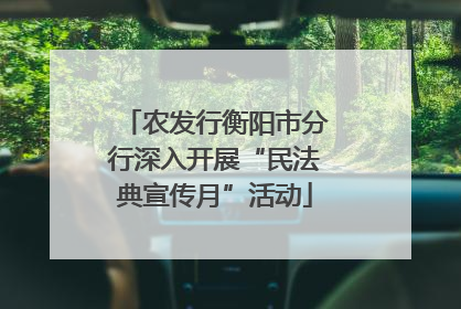 农发行衡阳市分行深入开展“民法典宣传月”活动