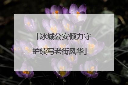 冰城公安倾力守护续写老街风华