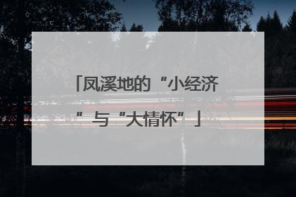 凤溪地的“小经济”与“大情怀”