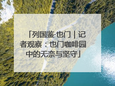 列国鉴·也门｜记者观察：也门咖啡园中的无奈与坚守