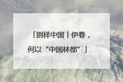 别样中国丨伊春，何以“中国林都”