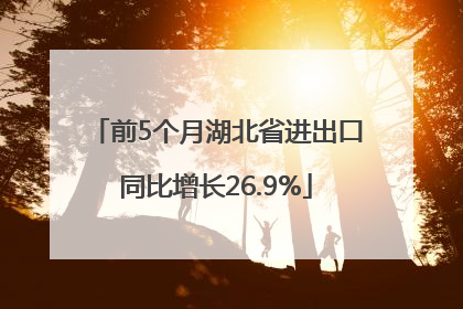 前5个月湖北省进出口同比增长26.9%