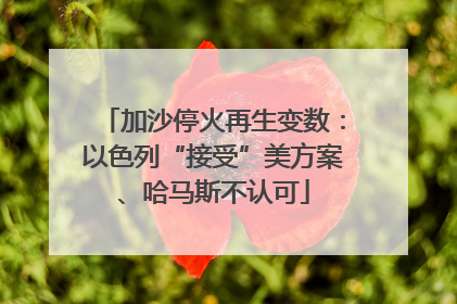 加沙停火再生变数：以色列“接受”美方案、哈马斯不认可