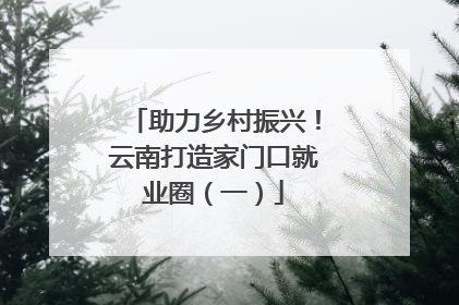 助力乡村振兴！云南打造家门口就业圈（一）