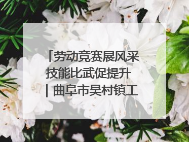 劳动竞赛展风采 技能比武促提升｜曲阜市吴村镇工会组织开展果树套袋技能竞赛