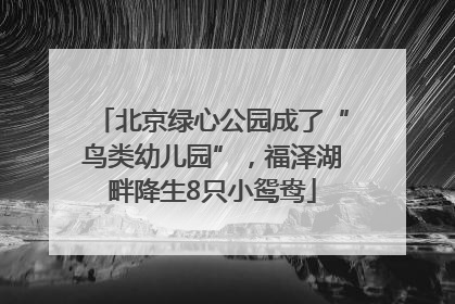 北京绿心公园成了“鸟类幼儿园”，福泽湖畔降生8只小鸳鸯