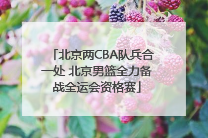 北京两CBA队兵合一处 北京男篮全力备战全运会资格赛