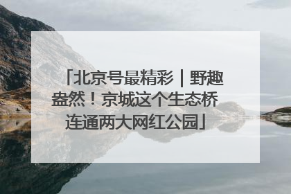 北京号最精彩｜野趣盎然！京城这个生态桥连通两大网红公园