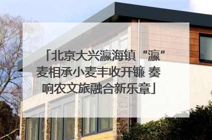 北京大兴瀛海镇“瀛”麦相承小麦丰收开镰 奏响农文旅融合新乐章