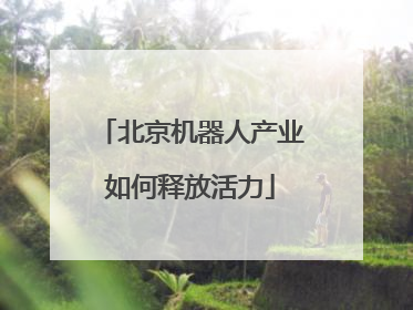 北京机器人产业如何释放活力