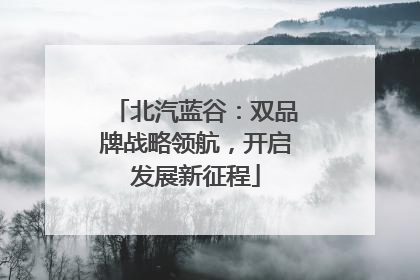 北汽蓝谷：双品牌战略领航，开启发展新征程