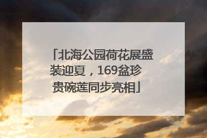 北海公园荷花展盛装迎夏，169盆珍贵碗莲同步亮相