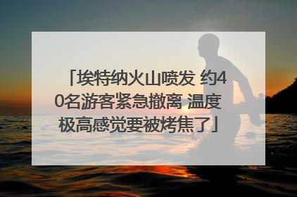 埃特纳火山喷发 约40名游客紧急撤离 温度极高感觉要被烤焦了