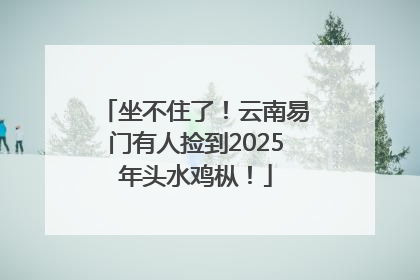 坐不住了！云南易门有人捡到2025年头水鸡枞！