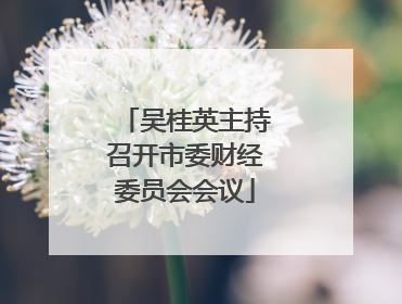 吴桂英主持召开市委财经委员会会议