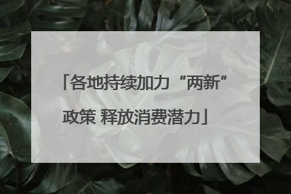 各地持续加力“两新”政策 释放消费潜力