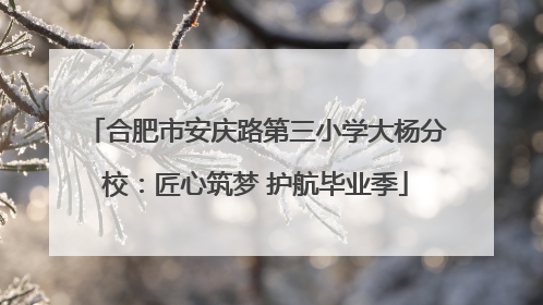 合肥市安庆路第三小学大杨分校：匠心筑梦 护航毕业季