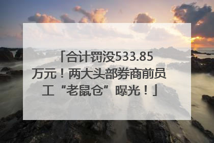 合计罚没533.85万元！两大头部券商前员工“老鼠仓”曝光！