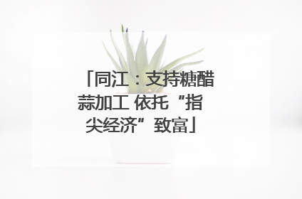 同江：支持糖醋蒜加工 依托“指尖经济”致富