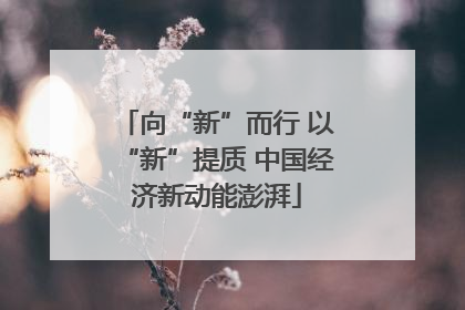 向“新”而行 以“新”提质 中国经济新动能澎湃