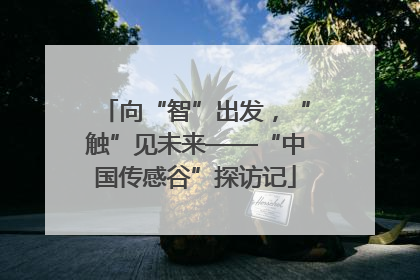 向“智”出发，“触”见未来——“中国传感谷”探访记