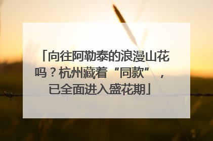 向往阿勒泰的浪漫山花吗？杭州藏着“同款”，已全面进入盛花期