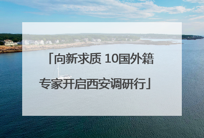 向新求质 10国外籍专家开启西安调研行