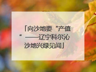 向沙地要“产值”——辽宁科尔沁沙地兴绿见闻