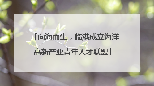 向海而生，临港成立海洋高新产业青年人才联盟