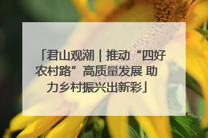 君山观潮｜推动“四好农村路”高质量发展 助力乡村振兴出新彩