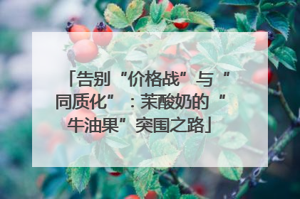 告别“价格战”与“同质化”：茉酸奶的“牛油果”突围之路