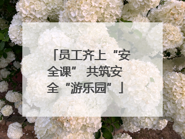 员工齐上“安全课” 共筑安全“游乐园”