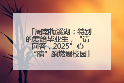 周南梅溪湖：特别的爱给毕业生，“请回答，2025”心“晴”跑燃爆校园