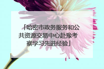 哈密市政务服务和公共资源交易中心赴豫考察学习先进经验