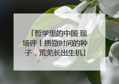 哲学里的中国·现场评丨播撒时间的种子，荒芜长出生机