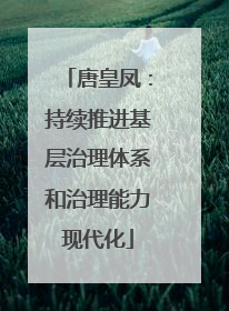 唐皇凤：持续推进基层治理体系和治理能力现代化