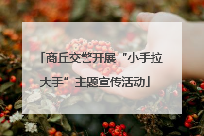 商丘交警开展“小手拉大手”主题宣传活动