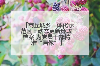 商丘城乡一体化示范区：动态更新廉政档案 为党员干部精准“画像”